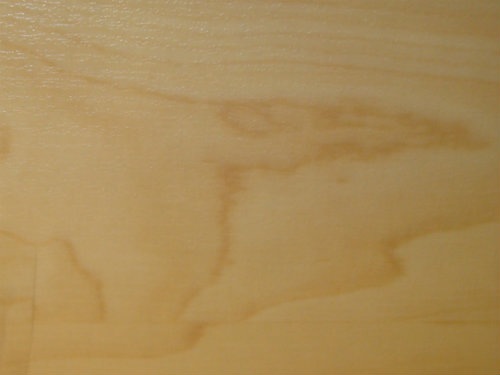 Maple 2_resized