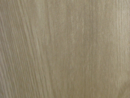 Northwood Tortora_resized